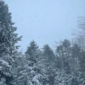 Meet your Posher, Lucien